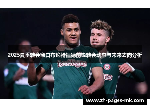 2025夏季转会窗口布伦特福德前锋转会动态与未来去向分析 2025夏季转会窗口布伦特福德前锋转会动态与未来去向分析
