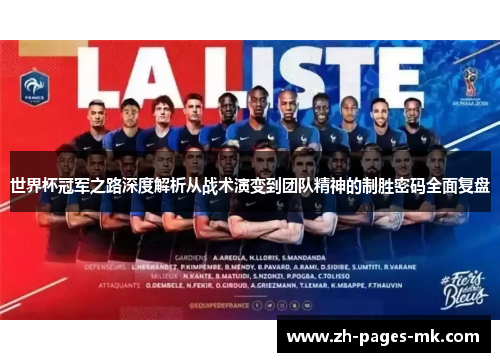 世界杯冠军之路深度解析从战术演变到团队精神的制胜密码全面复盘